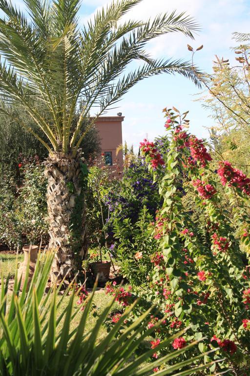 Bed and Breakfast Terra Mia Marrakech Ouled Jelal Zewnętrze zdjęcie