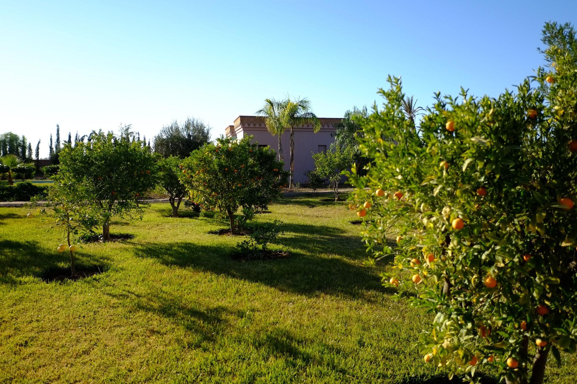 Bed and Breakfast Terra Mia Marrakech Ouled Jelal Zewnętrze zdjęcie