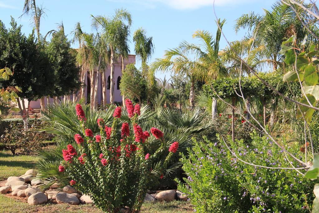 Bed and Breakfast Terra Mia Marrakech Ouled Jelal Zewnętrze zdjęcie