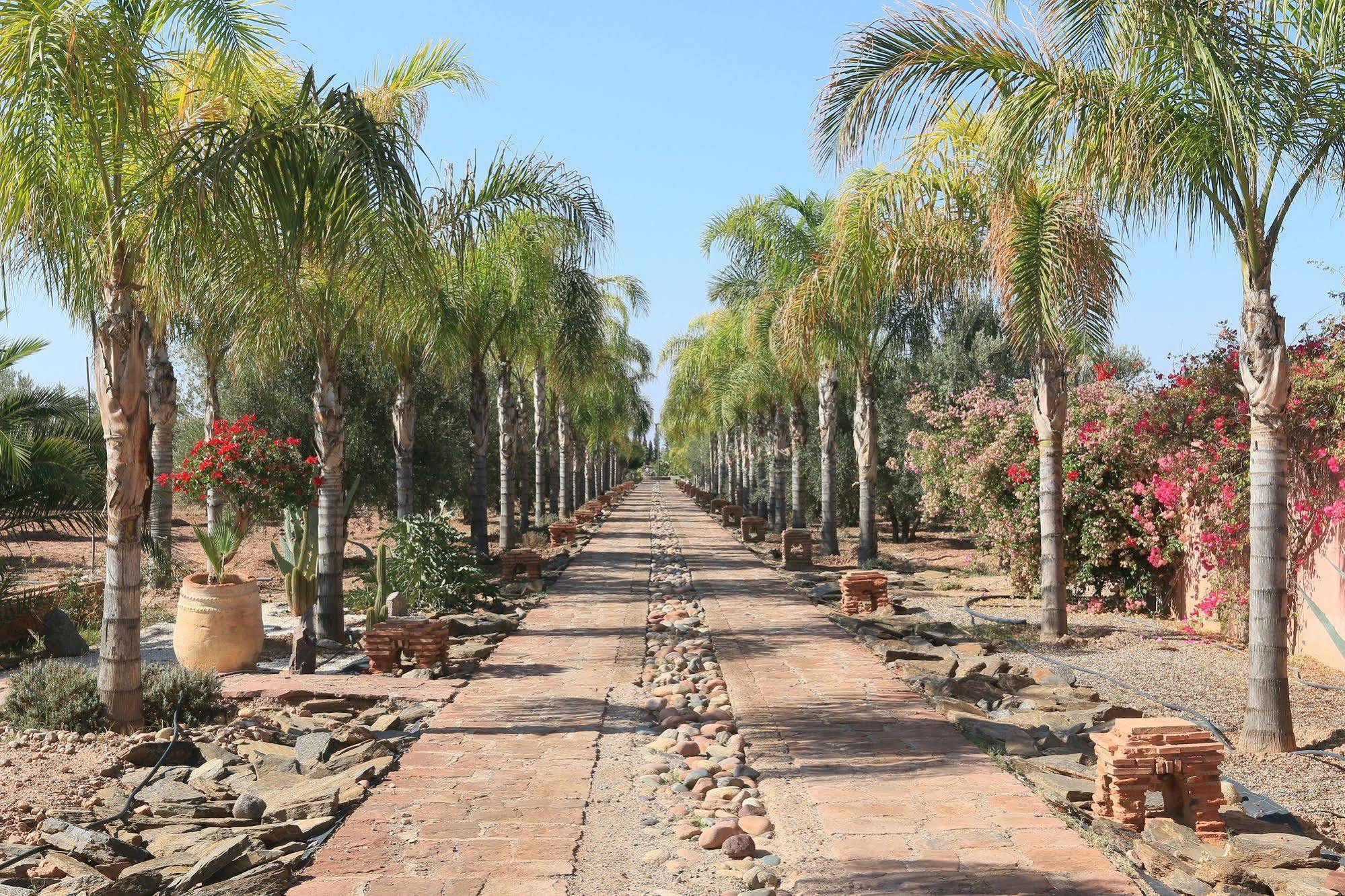 Bed and Breakfast Terra Mia Marrakech Ouled Jelal Zewnętrze zdjęcie
