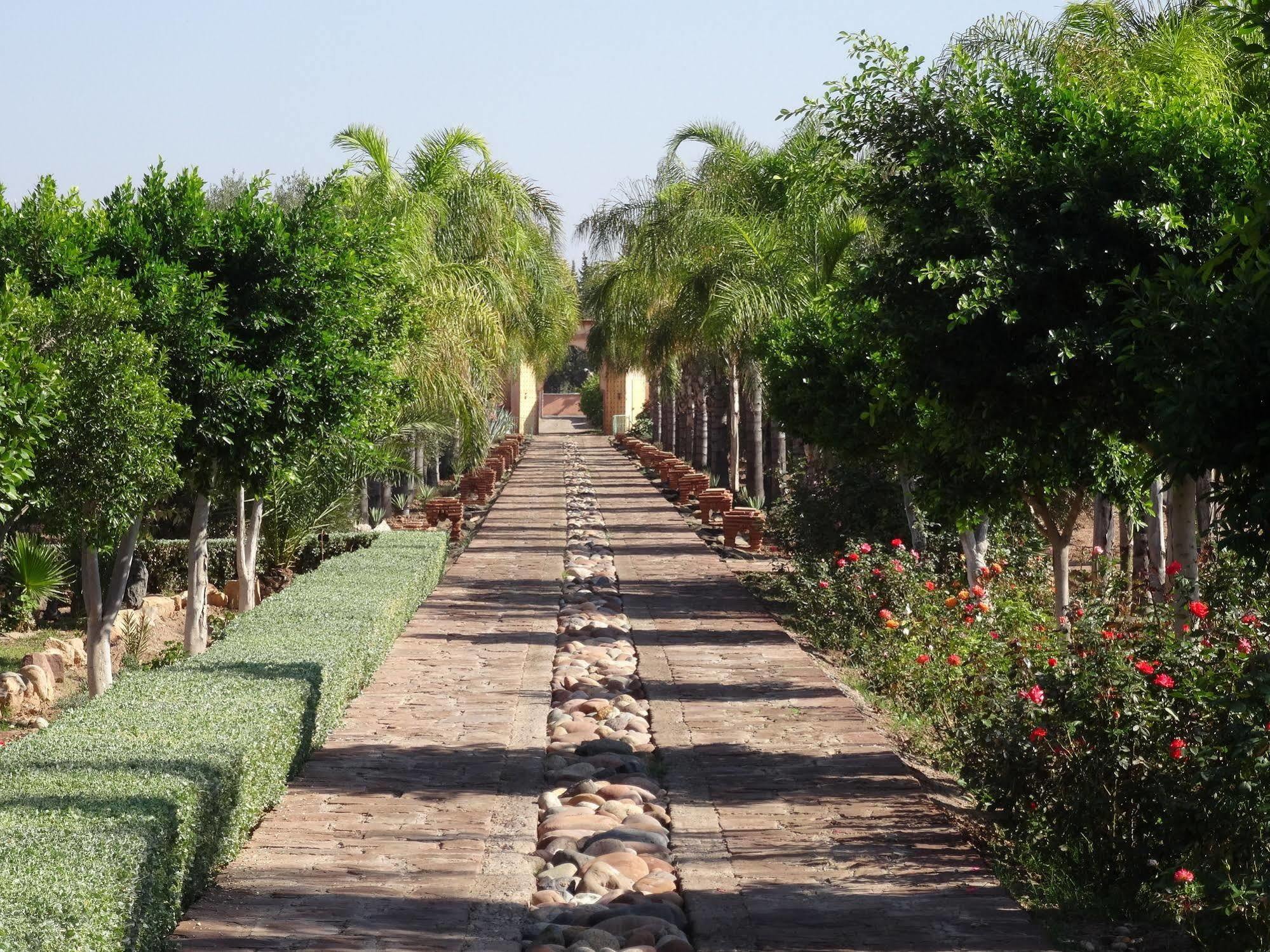 Bed and Breakfast Terra Mia Marrakech Ouled Jelal Zewnętrze zdjęcie